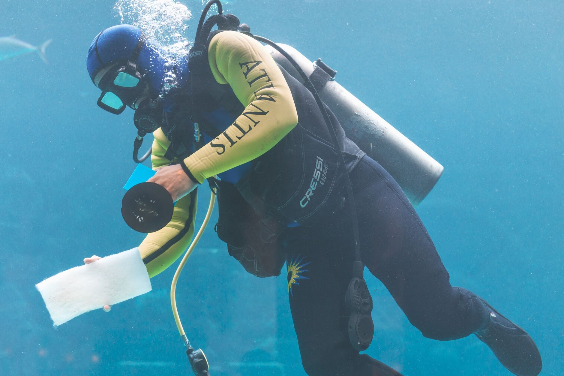 Atlantis The Palm — Underwater Suites — unikat