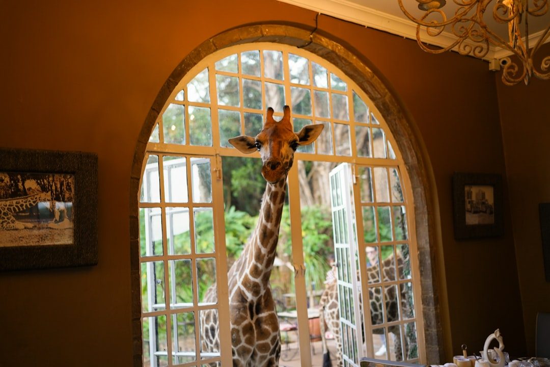 Giraffe Manor — unikat