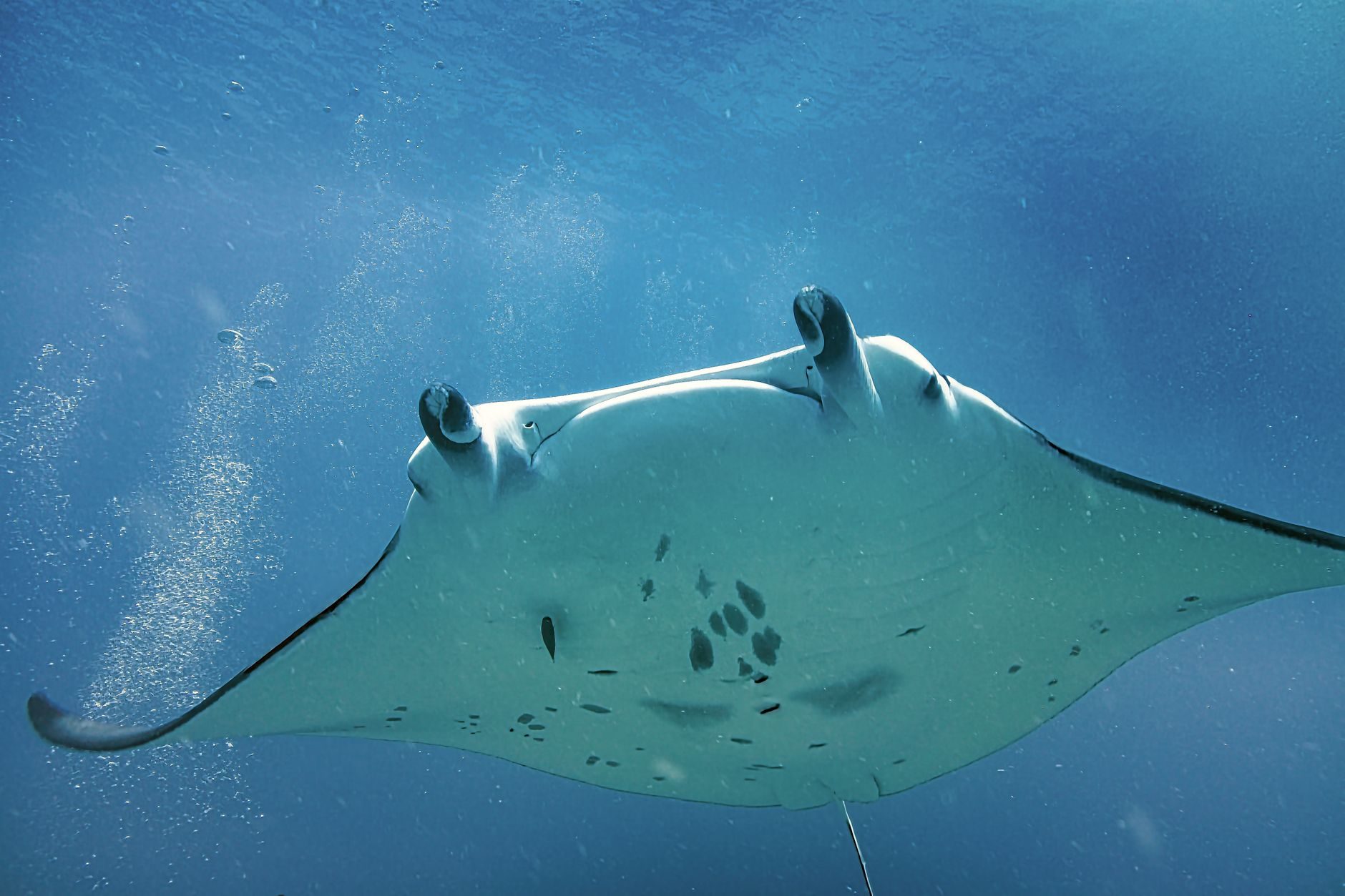 The Manta Resort — Underwater Room — unikat