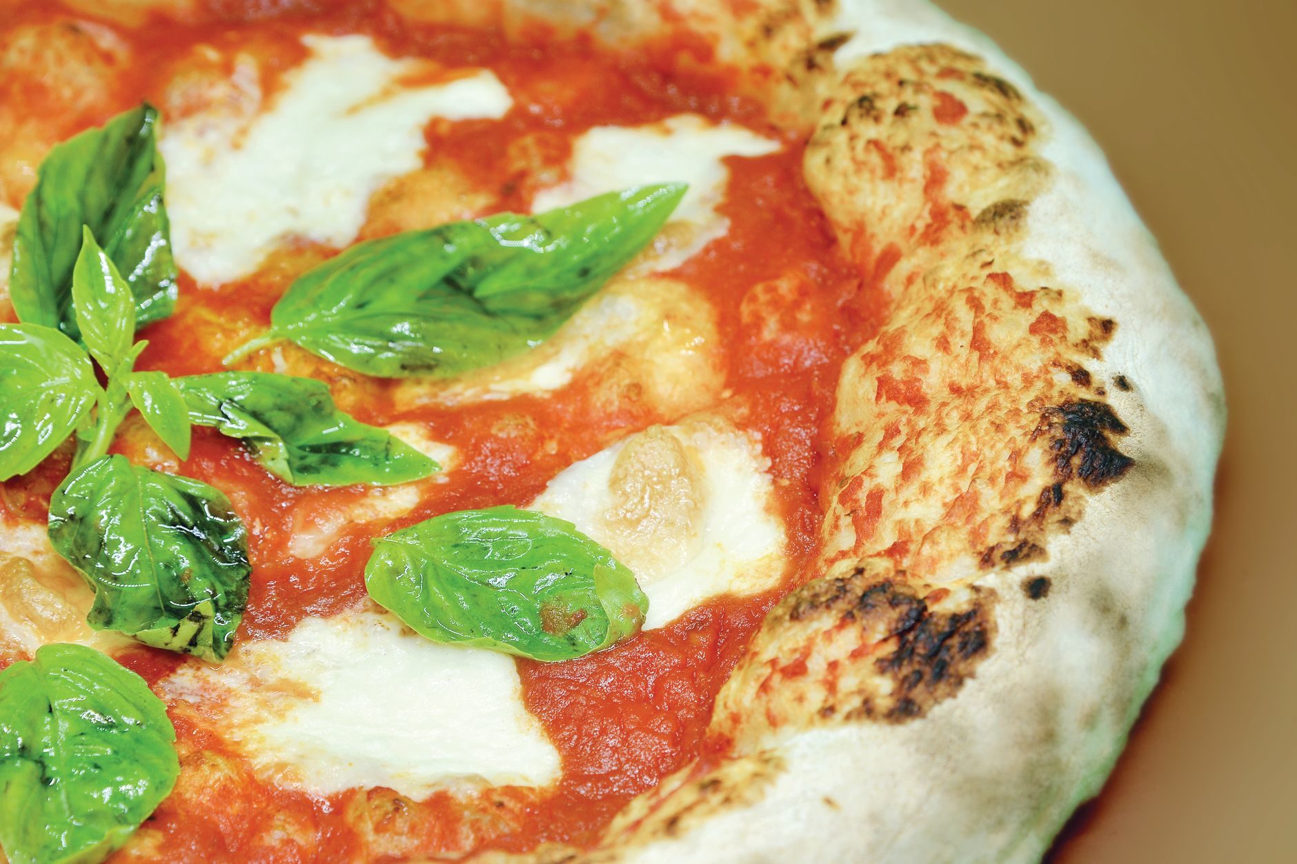 pizza margherita z wysokim przypalonym brzegiem i liśćmi bazylii