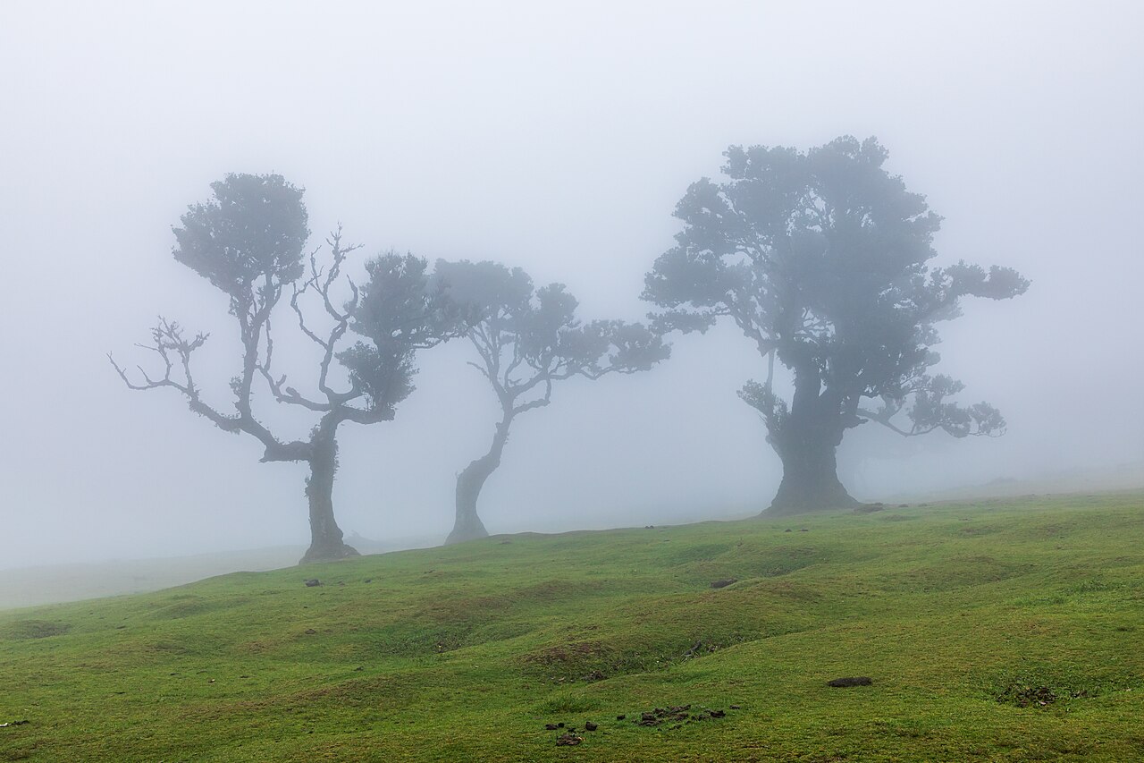 PR 13.1 Vereda da Palha Carga