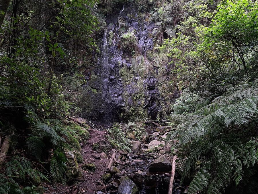 PR 18 Levada do Rei