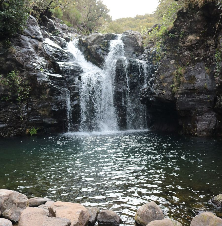 PR 6.2 Levada do Alecrim