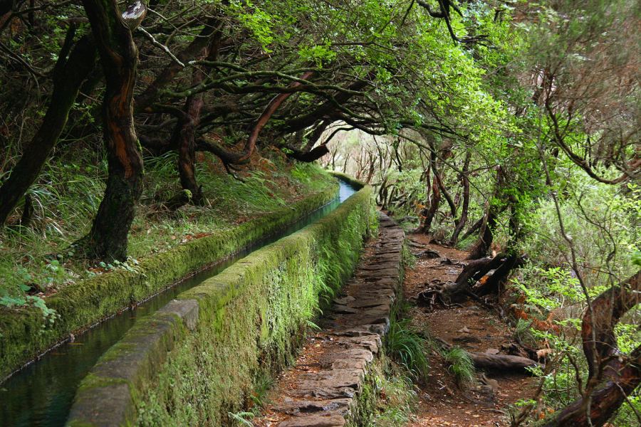 PR 6.4 Levada Velha do Rabaçal