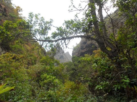 Erjos – Las Portelas (Monte del Agua)