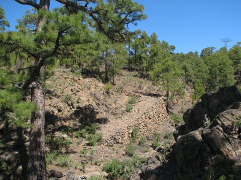 Villa de Arico – Cumbre de Arico